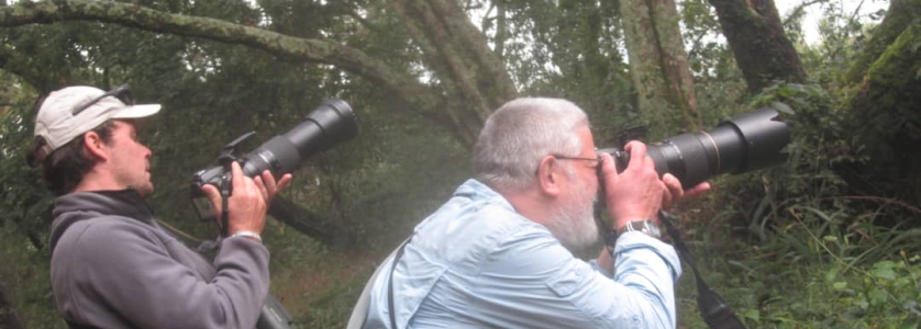 Best time for a birding safari to Semuliki National Park-Uganda safari news